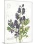 July Delphinium on White-Katie Pertiet-Mounted Art Print