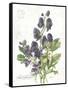 July Delphinium on White-Katie Pertiet-Framed Stretched Canvas