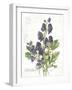 July Delphinium on White-Katie Pertiet-Framed Art Print