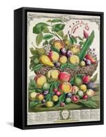July, from 'Twelve Months of Fruits'-Pieter Casteels-Framed Stretched Canvas