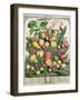 July, from 'Twelve Months of Fruits'-Pieter Casteels-Framed Giclee Print
