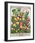 July, from 'Twelve Months of Fruits'-Pieter Casteels-Framed Giclee Print