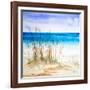 July II-Linda Baliko-Framed Art Print