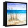 July II-Linda Baliko-Framed Stretched Canvas