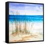 July II-Linda Baliko-Framed Stretched Canvas