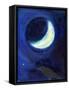 July Moon, 2014,-Nancy Moniz Charalambous-Framed Stretched Canvas