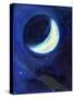 July Moon, 2014,-Nancy Moniz Charalambous-Stretched Canvas