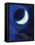 July Moon, 2014-Nancy Moniz-Framed Stretched Canvas