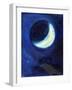 July Moon, 2014-Nancy Moniz-Framed Photographic Print