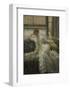 July: Specimen of a Portrait, c.1878-James Tissot-Framed Art Print