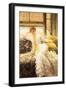 July (Speciment of a Portrait), 1878-James Tissot-Framed Giclee Print