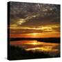 July Sunrise-Adrian Campfield-Stretched Canvas