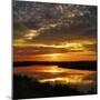 July Sunrise-Adrian Campfield-Mounted Photographic Print