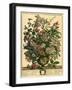 July-Robert Furber-Framed Art Print