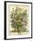 July-Robert Furber-Framed Giclee Print