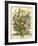 July-Robert Furber-Framed Giclee Print