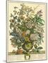 July-Robert Furber-Mounted Giclee Print