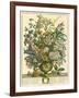 July-Robert Furber-Framed Giclee Print