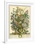 July-Robert Furber-Framed Giclee Print