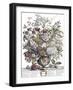 July-H. Fletcher-Framed Giclee Print