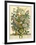 July-Robert Furber-Framed Art Print