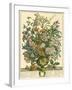 July-Robert Furber-Framed Art Print