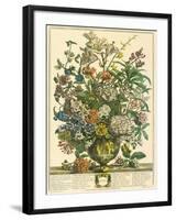 July-Robert Furber-Framed Art Print