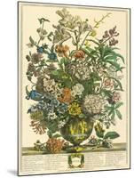 July-Robert Furber-Mounted Art Print