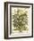 July-Robert Furber-Framed Art Print