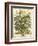 July-Robert Furber-Framed Art Print