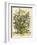 July-Robert Furber-Framed Art Print