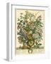 July-Robert Furber-Framed Premium Giclee Print