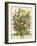 July-Robert Furber-Framed Art Print