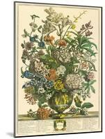 July-Robert Furber-Mounted Art Print