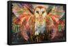 Jumbie - Owl-Trends International-Framed Poster