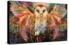 Jumbie - Owl-Trends International-Stretched Canvas