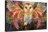 Jumbie - Owl-Trends International-Stretched Canvas