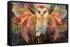 Jumbie - Owl-Trends International-Framed Stretched Canvas