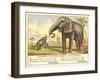 Jumbo Feeds Baby Castoria-null-Framed Art Print