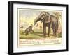 Jumbo Feeds Baby Castoria-null-Framed Art Print