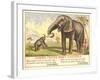 Jumbo Feeds Baby Castoria-null-Framed Art Print