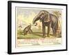 Jumbo Feeds Baby Castoria-null-Framed Art Print