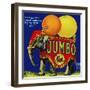 Jumbo Orange and Grapefruit-null-Framed Giclee Print