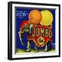 Jumbo Orange and Grapefruit-null-Framed Giclee Print