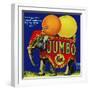 Jumbo Orange and Grapefruit-null-Framed Giclee Print