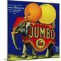 Jumbo Orange and Grapefruit-null-Mounted Giclee Print