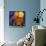 Jumbo Orange and Grapefruit-null-Giclee Print displayed on a wall