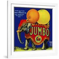 Jumbo Orange and Grapefruit-null-Framed Giclee Print