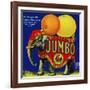 Jumbo Orange and Grapefruit-null-Framed Giclee Print