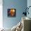 Jumbo Orange and Grapefruit-null-Framed Stretched Canvas displayed on a wall